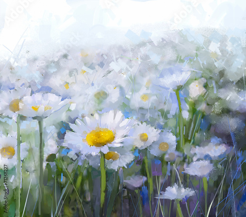 Naklejka nad blat kuchenny Daisy flowers.Abstract flower oil painting