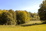 Fototapeta Na ścianę - autumn landscape