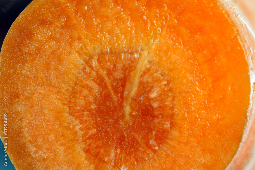 Close up of carrot (macro)