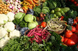 Légumes BIO du marché