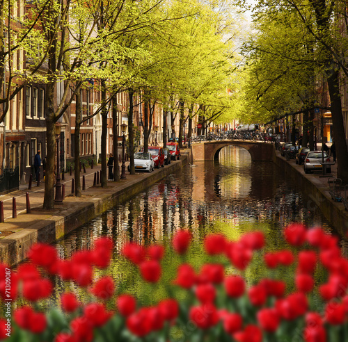 Plakat Amsterdam z zielonym kanałem w śródmieściu, Holandia