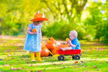 funny kids at pumpkin patch