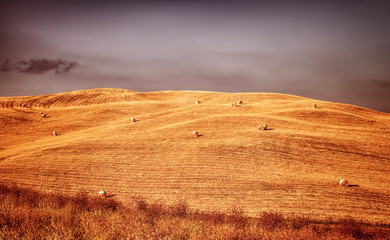 Poster - Beautiful autumn landscape