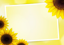 Sunflowers Vector Background For Image And Text