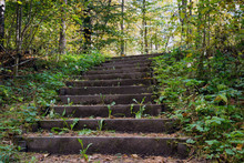 Old Wooden Staircase In The Forest