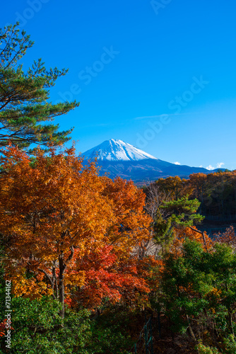 Naklejka samoprzylepna Jesienne dekoracje z Japonii