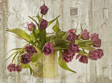 Bouquet Of Fresh  Purple  Tulips .