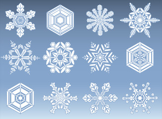 Canvas Print - snowflake silhouette icons