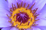160_f_71374670_2iwjfigci9z5odjsyxpqzwonsgspgmmy