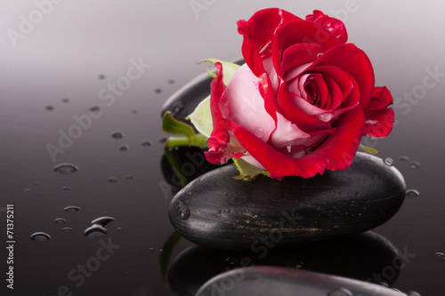 Fototapeta na wymiar Spa stone and rose flowers still life. Healthcare concept.