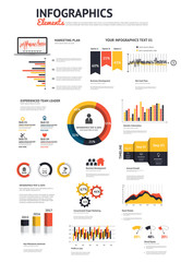 Wall Mural - big set of infographic elements