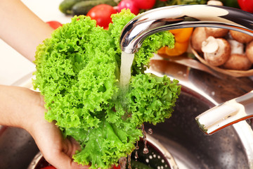 Wall Mural - Woman's hands washing vegetables in sink in kitchen