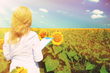 Canvas Print - Agronomist with folder in sunflowers field