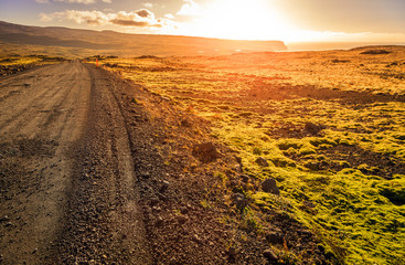 Canvas Print - Road though Wesfjords