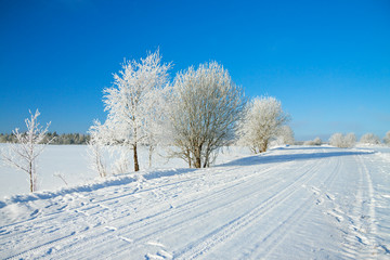 Wall Mural - winter  rural landscape with the road the forest and the blue sk