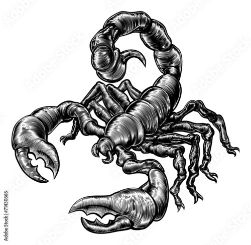 Vintage woodblock style sco...