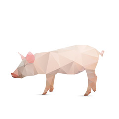 Wall Mural - Abstract pig isolated on a white backgrounds.