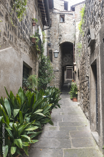 Fototapeta na wymiar Viterbo (Italy)