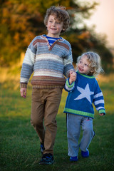 Wall Mural - young brothers holding hands