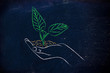 concept of green economy, hands holding new plant