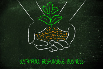 concept of green economy, hands holding new plant