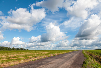 Wall Mural - Empty asphalt country road perspective with dramatic cloudy sky