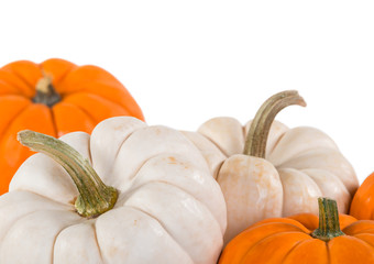 Wall Mural - Closeup of mini pumpkins on white