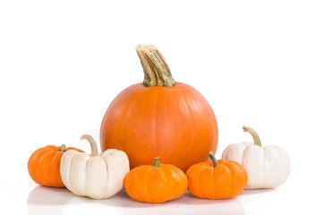 Wall Mural - Pumpkins against white background