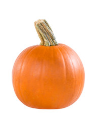 Wall Mural - Pie pumpkin isolated on white