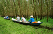 Tra Su indigo forest, Vietnam ecotourism