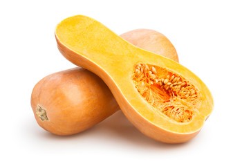 Sticker - butternut squash