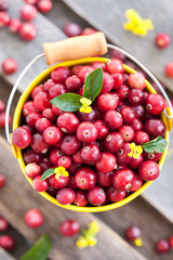 Fresh red cranberry