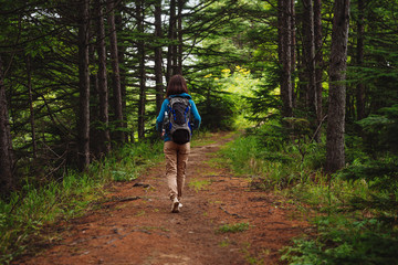 Canvas Print - Hiker walking on forest path