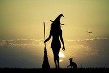 Witch Silhouette At Sunset