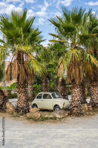 retro-wloski-fiat-500-wsrod-zielonych-palm