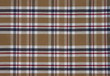 fabric Tartan pattern. Brown with red,white and blue