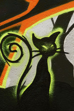 Colorful Murals Of The Black Cat