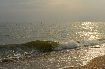 Wall Mural - sunrise on the sea