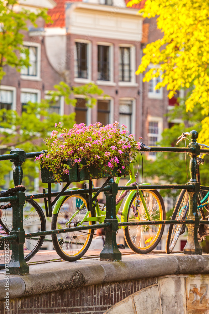 Summer view of bicycles in the Dutch city Amsterdam - obrazy, fototapety, plakaty 