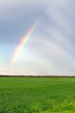 Fototapeta Tęcza - Rainbow in the field