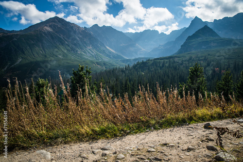 Board z aluminiowym obramowaniem Hala gasienicowa in tatra mountains