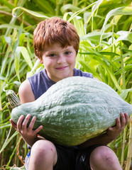 Wall Mural - young boy harvesting