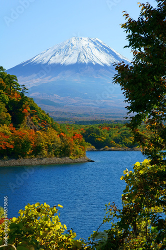 Naklejka samoprzylepna Fuji 8