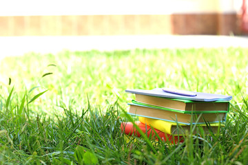 Canvas Print - Stacked books in grass, outside