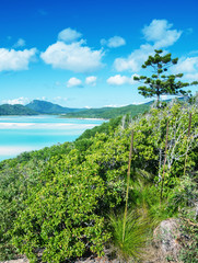 Sticker - Whitehaven beach in the Whitsunday archipelago, Australia