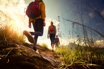 hikers