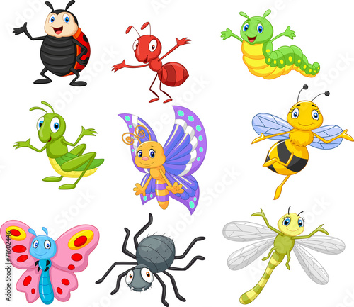 Plakat na zamówienie Cartoon insect
