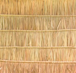  Tropical thatched roof background