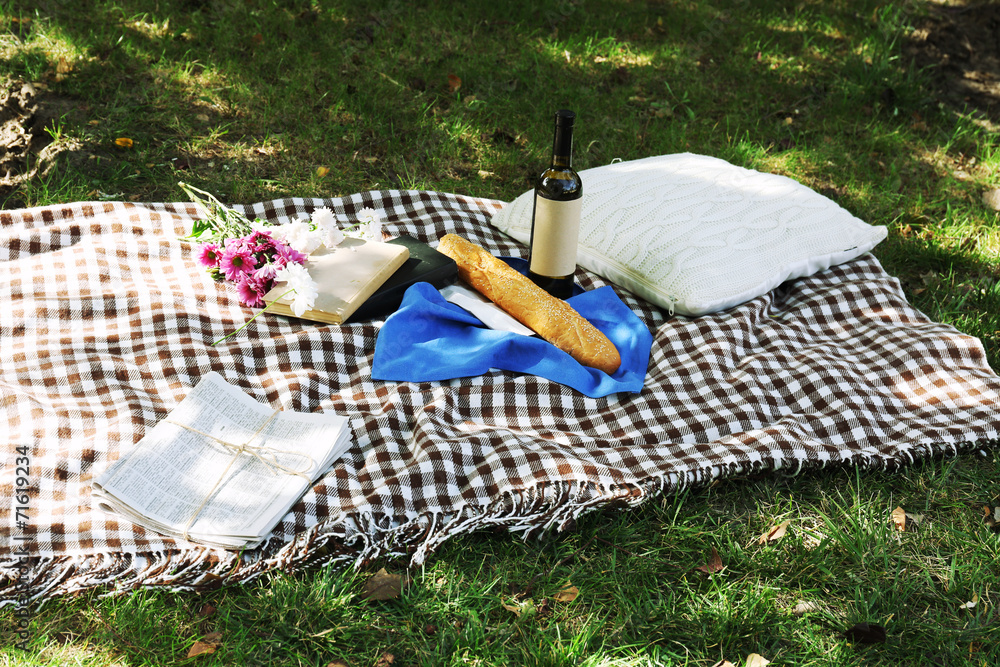 Picnic snack on checkered blanket on grass in park
