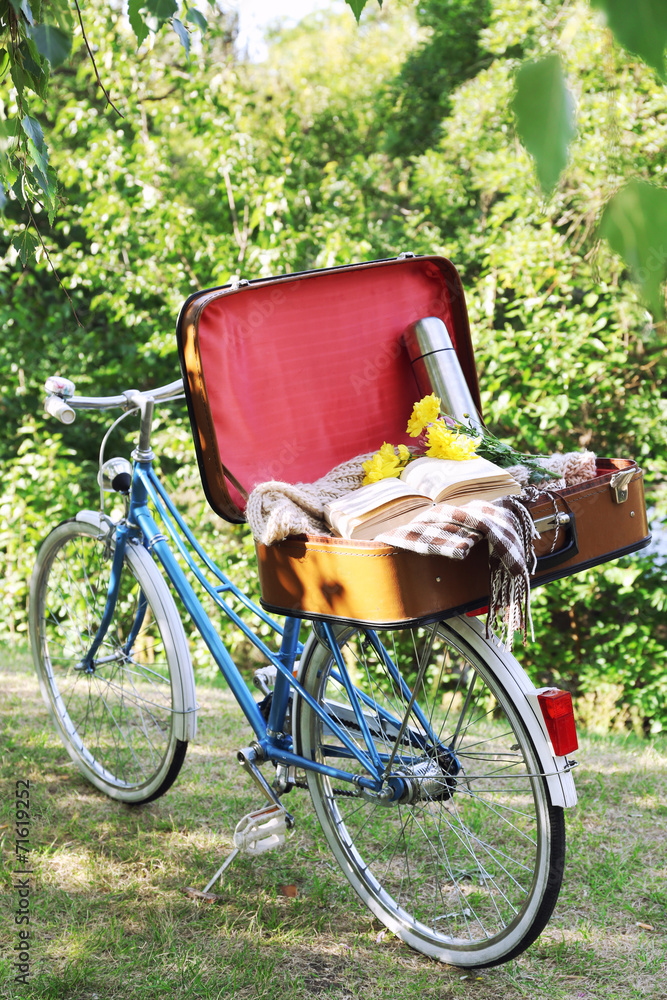 Bicycle and open suitcase on it in shadow in park